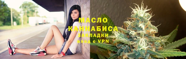 дживик Няндома