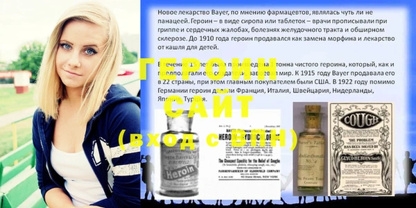дживик Няндома