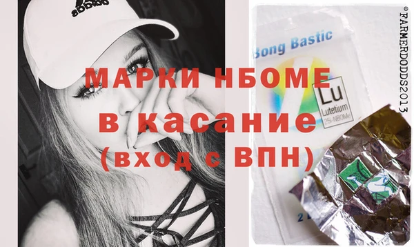 дживик Няндома