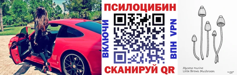Псилоцибиновые грибы Psilocybine cubensis Шебекино